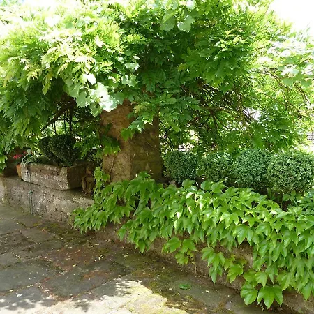 Zum Alten Brauhaus Guest house Dudeldorf