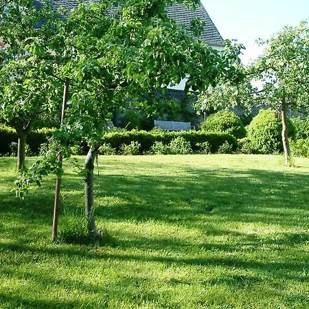 Zum Alten Brauhaus Guest house