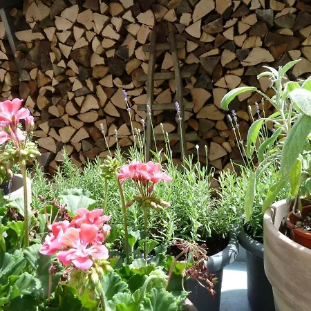 Zum Alten Brauhaus Casa de hóspedes 3*