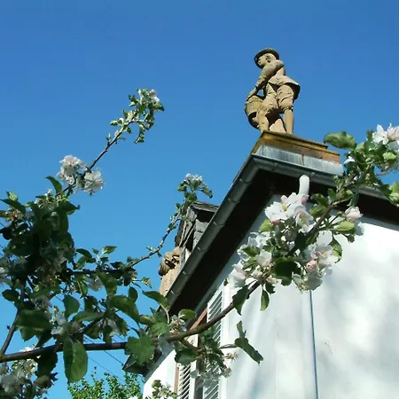 Casa de hóspedes Zum Alten Brauhaus