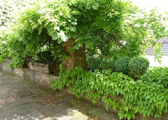 Zum Alten Brauhaus 게스트하우스 듀델드로프