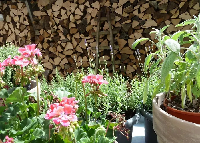 Zum Alten Brauhaus Gasthuis 3*