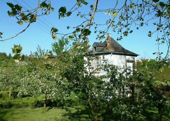 게스트하우스 Zum Alten Brauhaus 3*