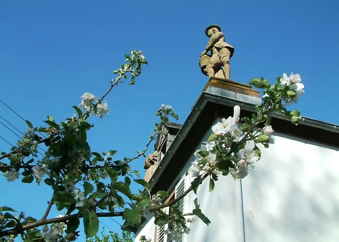 게스트하우스 Zum Alten Brauhaus